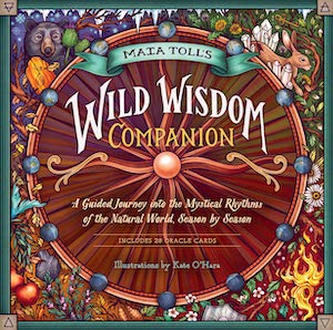 The Wild Wisdom Companion cover