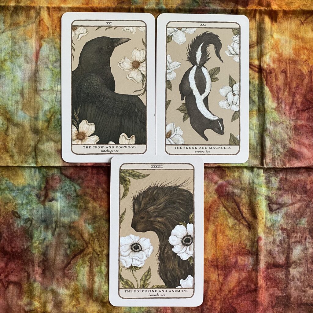 Crow & Dogwood (Intelligence), Skunk & Magnolia (Protection), Porcupine & Anemone (Boundaries) from the Woodland Wardens deck by Jessica Roux